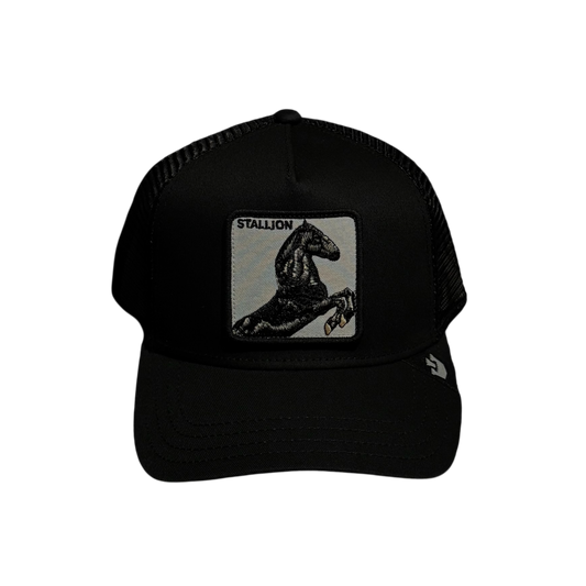 Stalion Goorin Bros